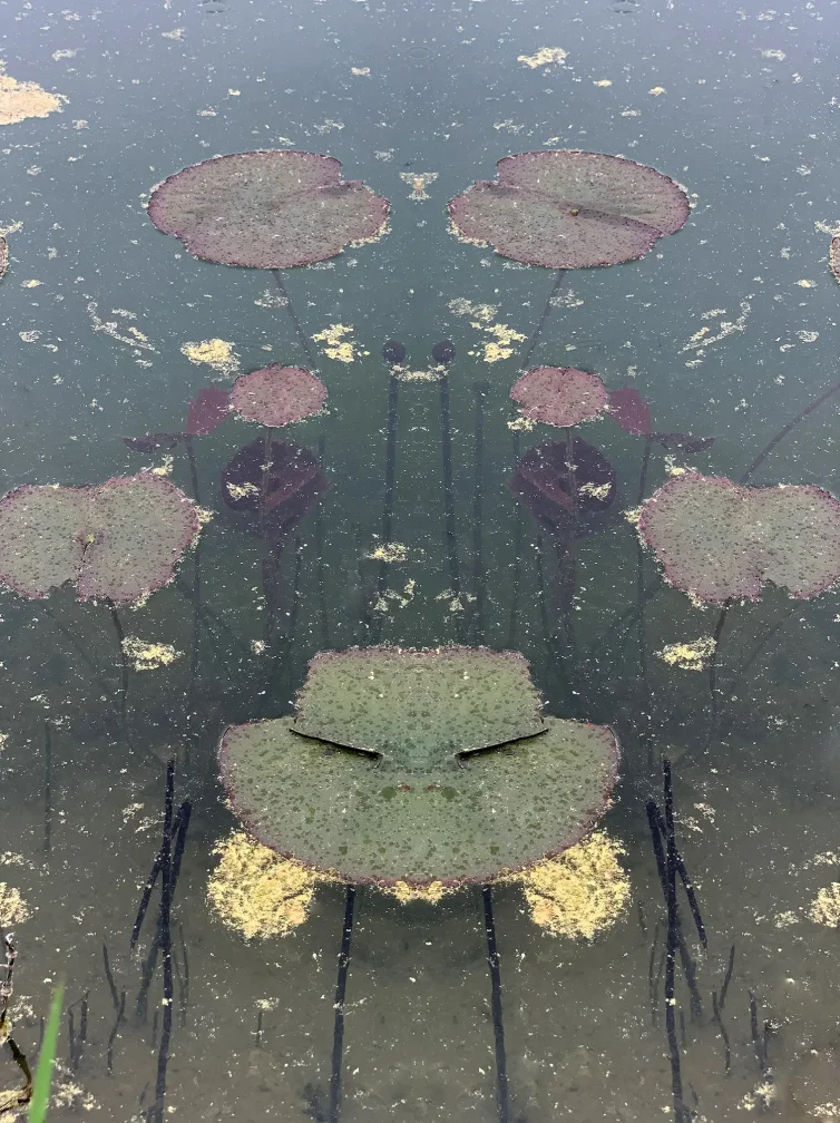 Serie ORIGIN OF SYMETRY 10