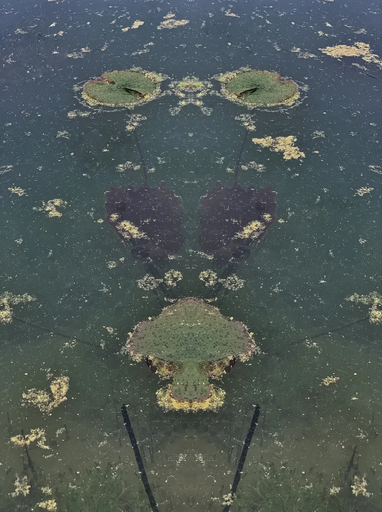 Serie ORIGIN OF SYMETRY 9
