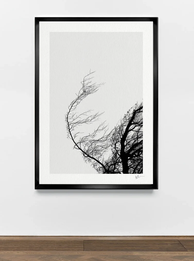 Serie THOUSAND TREES 1