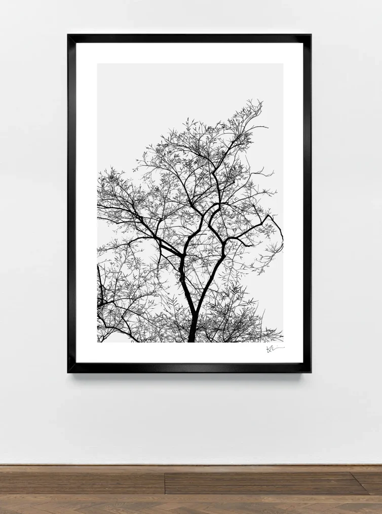 Serie THOUSAND TREES 2