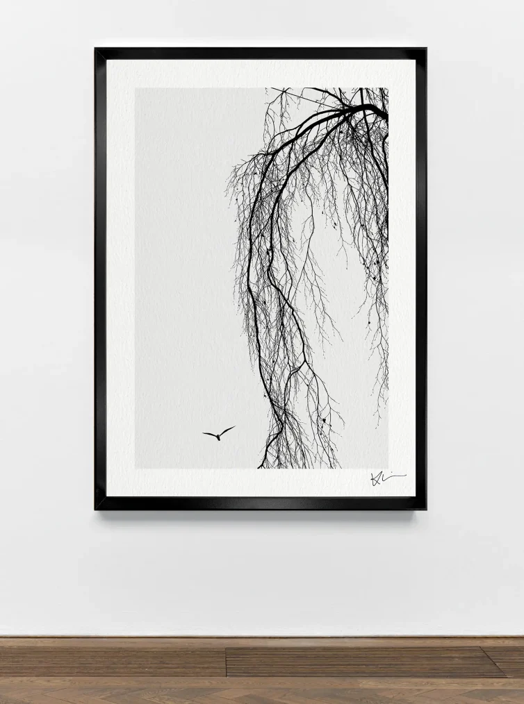Serie THOUSAND TREES 3