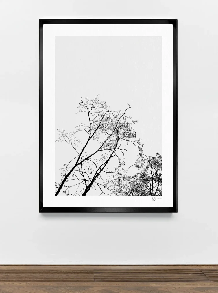 Serie THOUSAND TREES 7