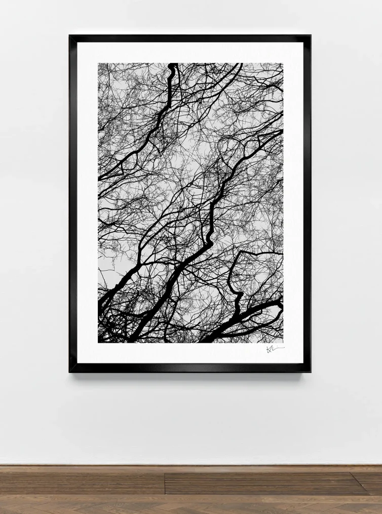 Serie THOUSAND TREES 8