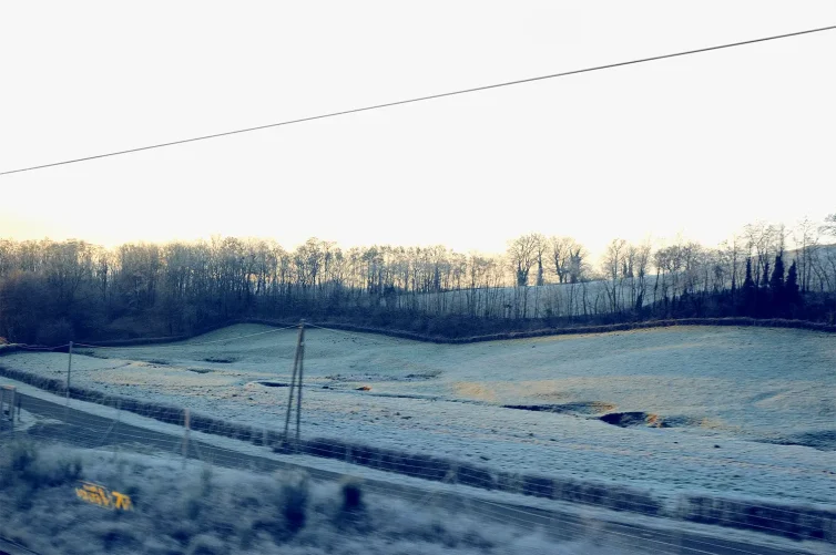 Serie TRIPPING RANDOM #1 8