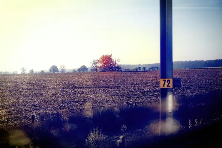 Serie TRIPPING RANDOM #2 3
